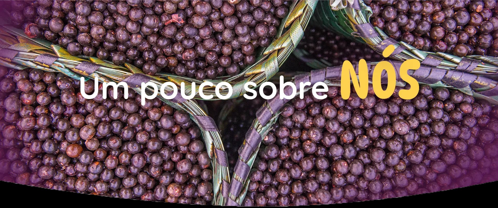 Quem Somos — Brasil da Fruta