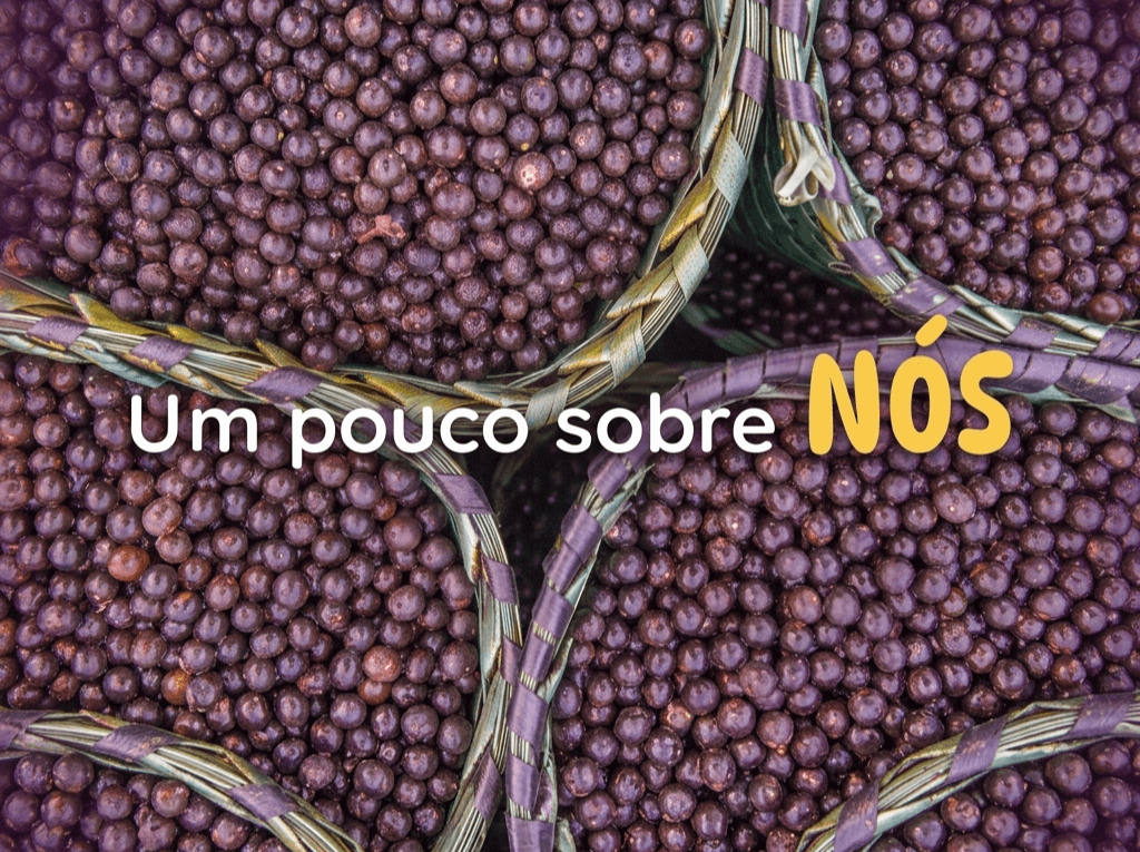 Quem Somos — Brasil da Fruta